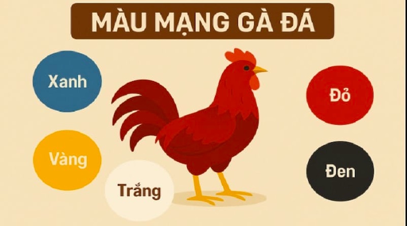 80 Màu Mạng Đá Gà – Mẹo chọn chiến kê chuẩn ngũ hành