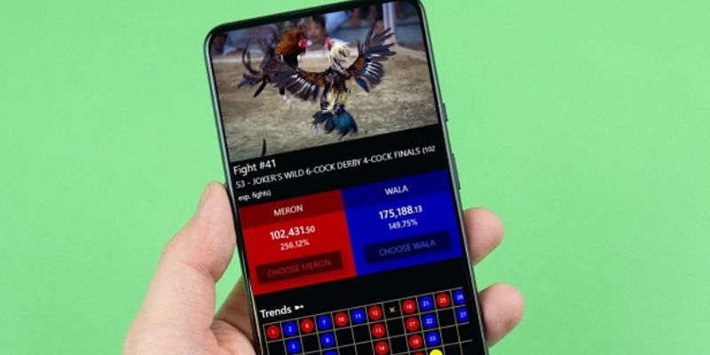 Live Đá Gà Thomo Hôm Nay – Trực Tiếp Full HD Tại Jun88